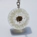 Reserved for intan - One True Dandelion Necklace 07 Resin Jewelry Make A Wish Real Complete Dandelion Pendant Statement