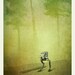 Star Wars Transport Series: Limited Edition Print (set of 3)