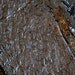 Black Glazed Leather Fish Hide for Bookbinding, Journaling, Purses, Cuffs, Heels