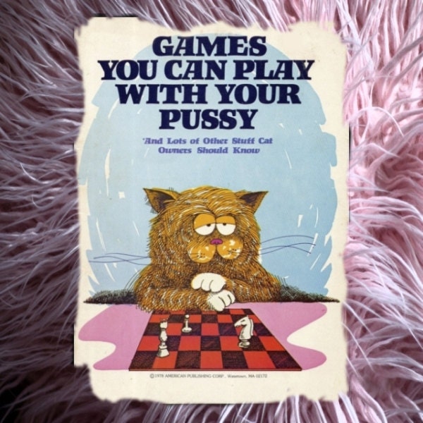 Games You Can Play With Your Pussy Cat and Lots of Other Stuff Cat Owners Should Know Ira Alterman
