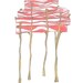 April 25, 2012 (Meat) - original ink and watercolor drawing