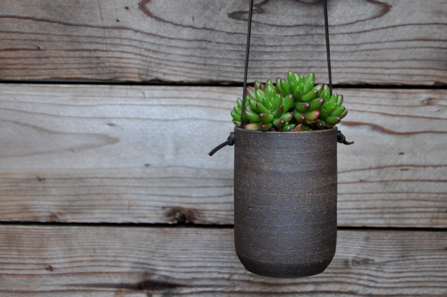 Modern Simple Dark Brown Hanging Planter