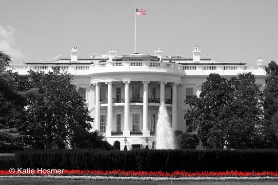The White House, Washington, DC (black, white, and red) - 5x7 Matted Photograph