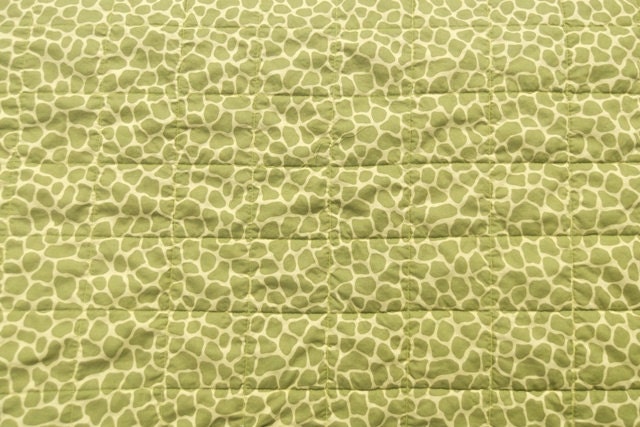 Dinosaur Baby Quilt