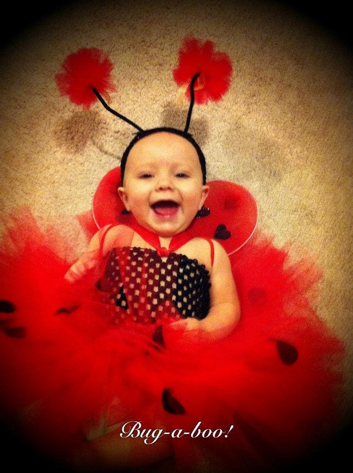 Lady Bug Costume, Birthday outfit, Halloween Costume, ladybug