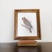 Vintage Owl Print in Wooden Frame - Home Decor - Man Cave - Wall Hanging - Harry Potter - Cottage Style - Natural History - Halloween