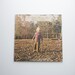 The Allman Brothers Band - Brothers and Sisters 1973 - Vintage Vinyl Album - Includes Ramblin' Man, Jessica - Father's Day