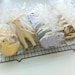 Baby Zoo Animals Decorated Cookies- Perfect for your shower, noah's ark theme party