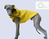 Yellow hoodie for Italian Greyhound
