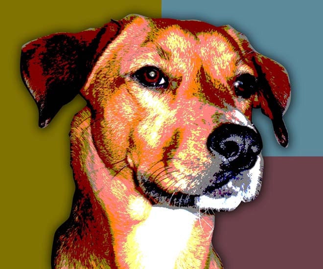 Custom Pet Portrait Pop Art - 11 x 14"