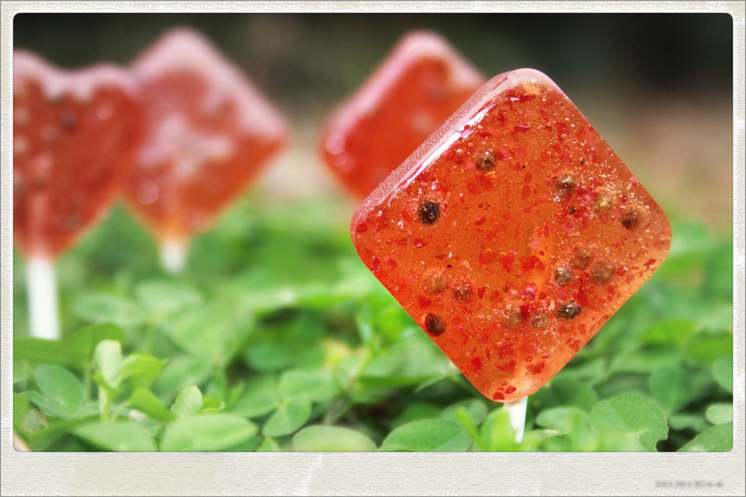 Watermelon & Pink Peppercorns - 1/2 Order : 3 Gourmet Lollies - Custom Labels for any Event