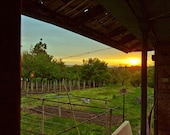 Fine Art Photography, Cottage Sunset Photograph, Paper or Canvas Print All Village House Sunset 8x10 or 8x12