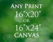 Canvas Print or Photo Paper Rag Photography Print, Fine Art 16x20 or 16x24 Customizable Choose Any Photo