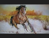 Chestnut Horse a print of an original painting