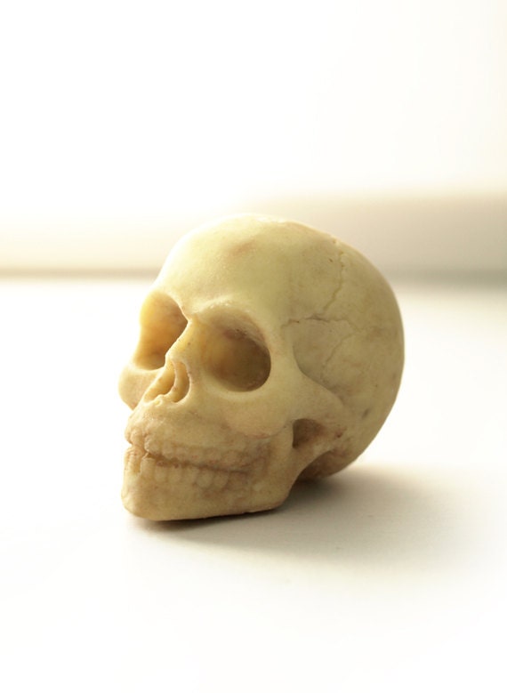 White Chocolate Skull