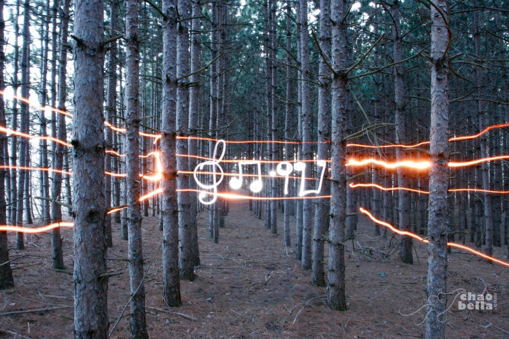 Music will heal your soul - Light graffiti photograph in 8x10 size