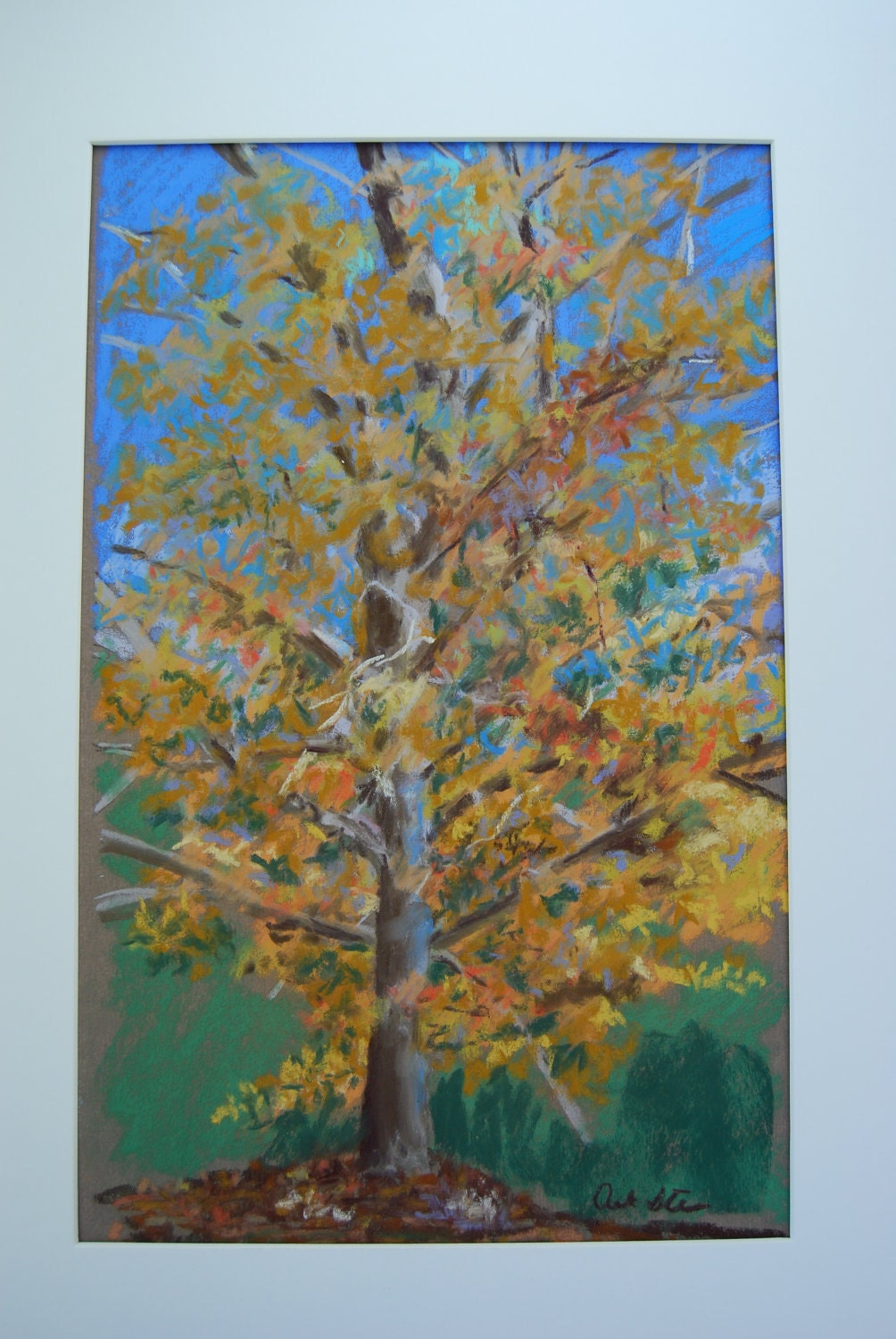 Fall Tree