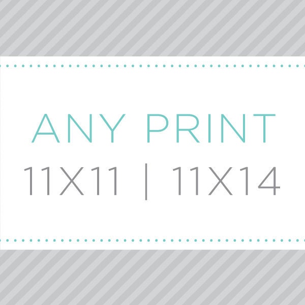 11 x 11 or 11 x 14 Print Size - Illustration of Your Choice - Archival Matte Digital Print