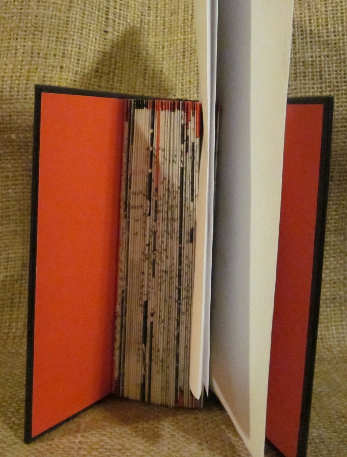 Recycled / Upcycled Altered Book Mail Holder / Organizer - Murder on the Riviera Express - TheBookCellar
