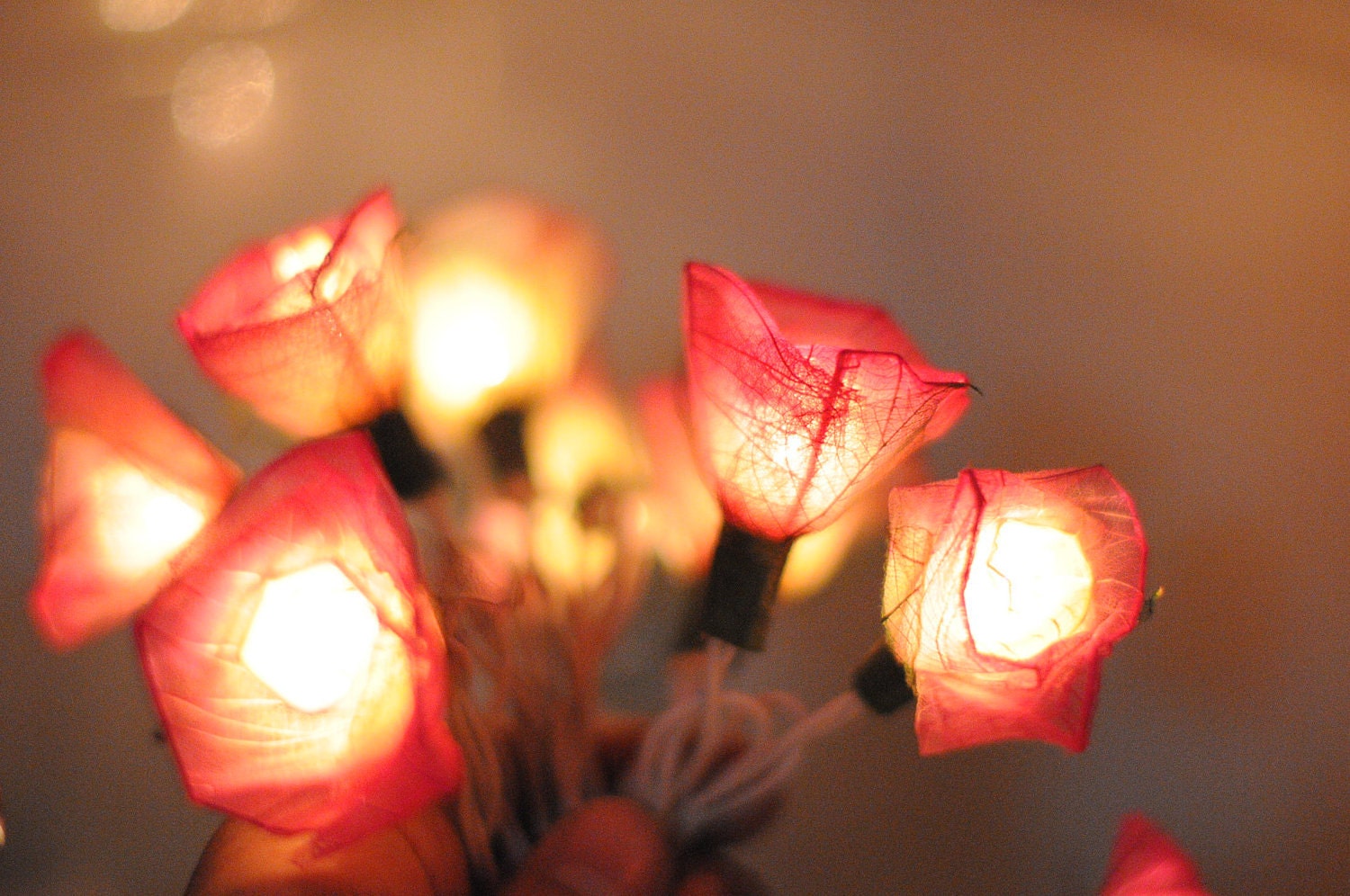 20 Romantic valentine white pink roses handmade flower wedding string light party patio function deco natural leaf