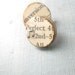 Fake Plugs - Paper Jewelry Earrings - Music Notes
