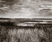 Jamaica Bay Wildlife Refuge 4