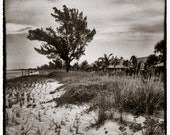 Sanibel Island 1...Florida