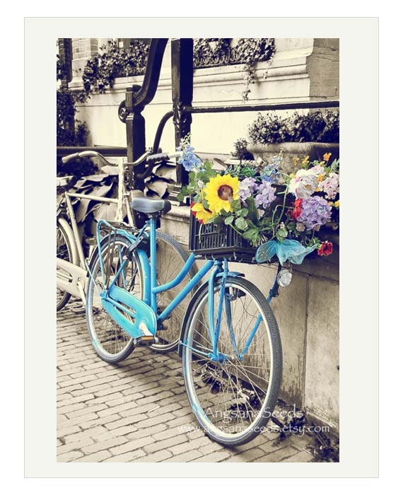 Bicycle basket photo, Amsterdam, soft pastel, vintage, country chic, 8x12, summer flowers, blue, yellow, Holland, home decor, holiday gifts