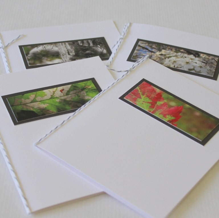 Seasonal Notes - Photo Art Notecards, Set of 4