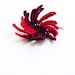 Carmen. Scarlet red black  holiday hair accessories crochet floral hair clip