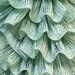 FREE Worldwide Shipping Samba yarn. Mint green. Ruffle scarf yarn , frilly Fresh summer, trending yarn, ICE