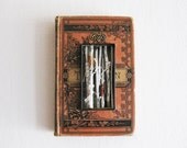 Twig Shadow Box in Vintage Book, Original Assemblage