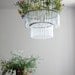 Maria S.C. double test tubes chandelier