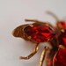 Red Fly PIn. Very Elaborate
