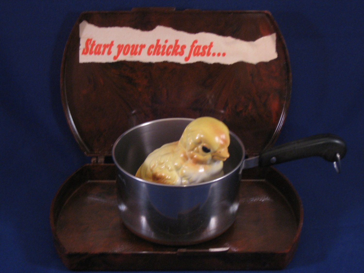 Start Your Chicks Fast