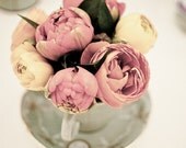 Whimsical romantic vintage hues roses in a tea cup photographic fine art print.