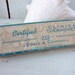 Vintage Medical Glass Eisele & Company Thermometer 1950's Clinical Nurse Doctor Collectible