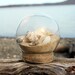 Natural Seashell & Sand Glass Beach Globe
