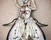 White Fly