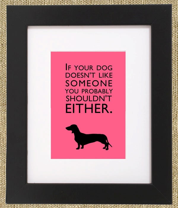 Dog Quotes Framed Dachshund Print "If Your Dog Doesn't Like Someone You Probably Shouldn't Either."