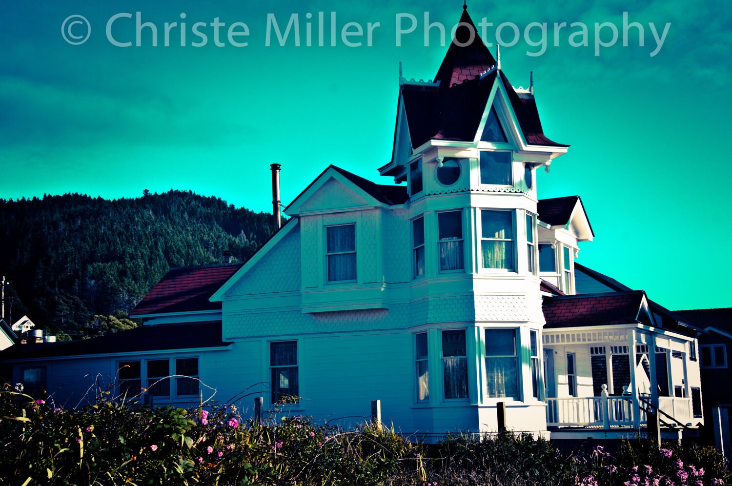 The Shady Chateau - Turquoise Victorian House Photo Print 11x14