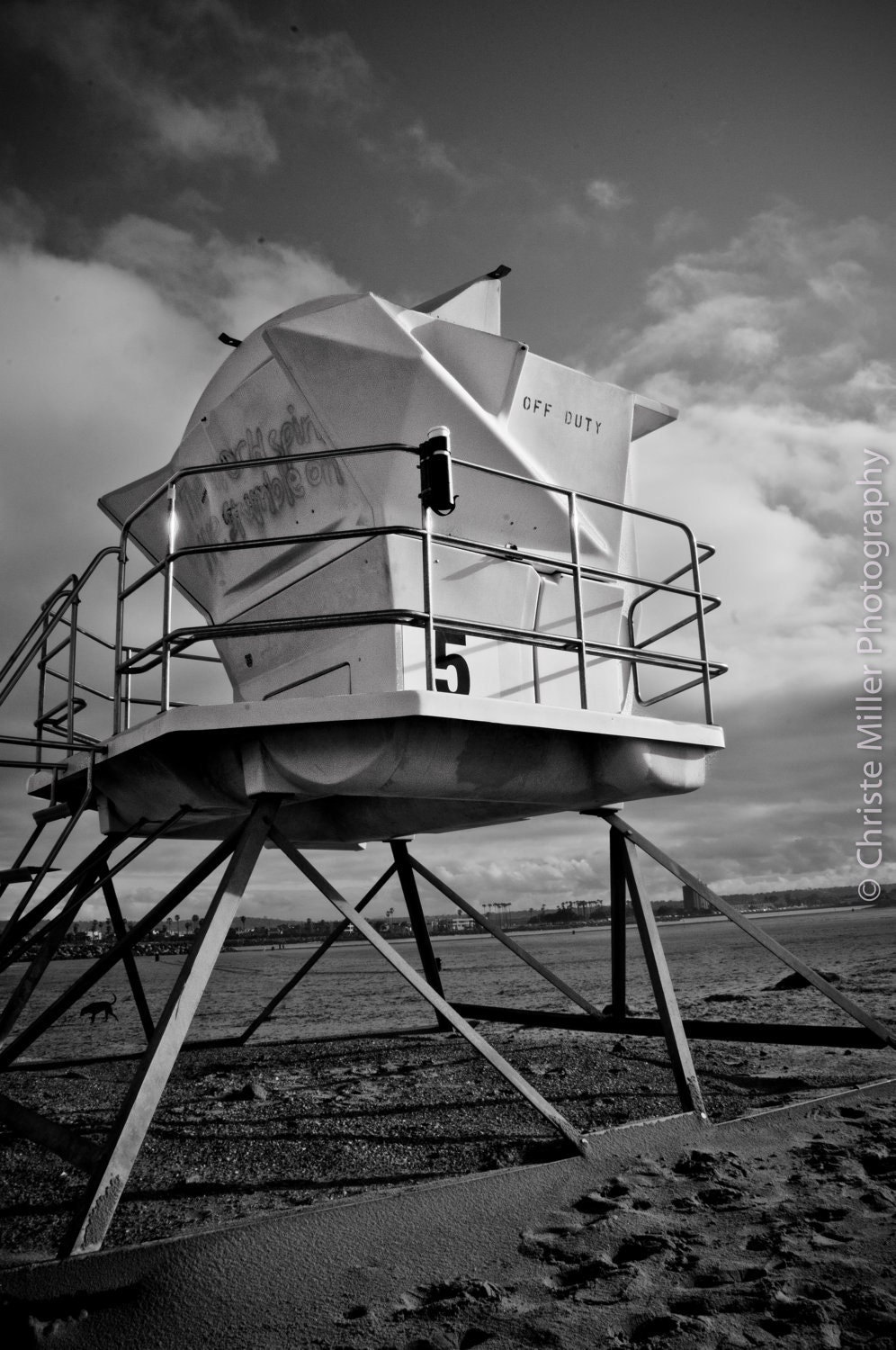 Lifeguard to Space Black and White print 12x18