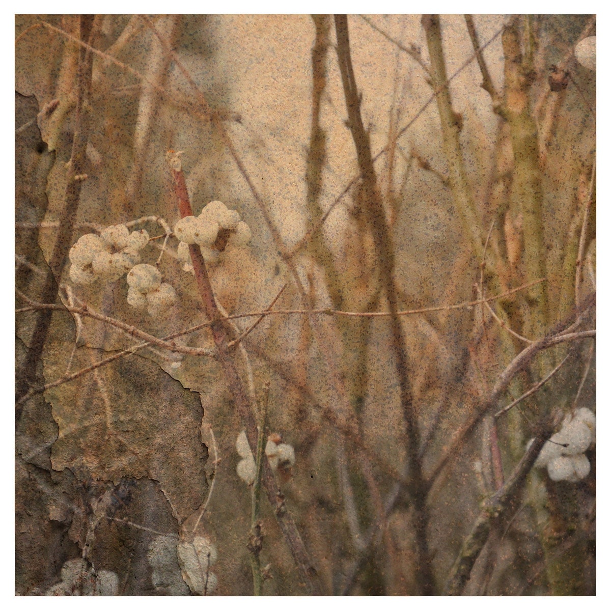 digital collage with painting, fine art photography print 10X10"branches sepia, brown,retro,shabby chic home gift, landscape limited edition
