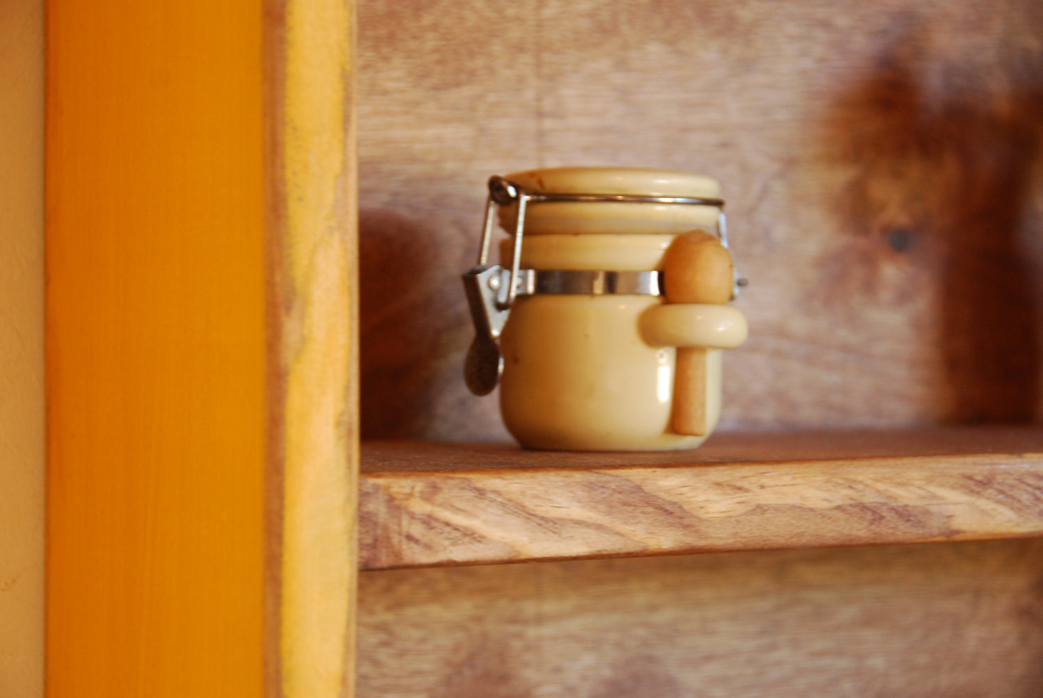 Rustic Storage Cabinet - 4.5" shelf - 2 shelf wood cabinet with wire door - AVAILABLE NOW