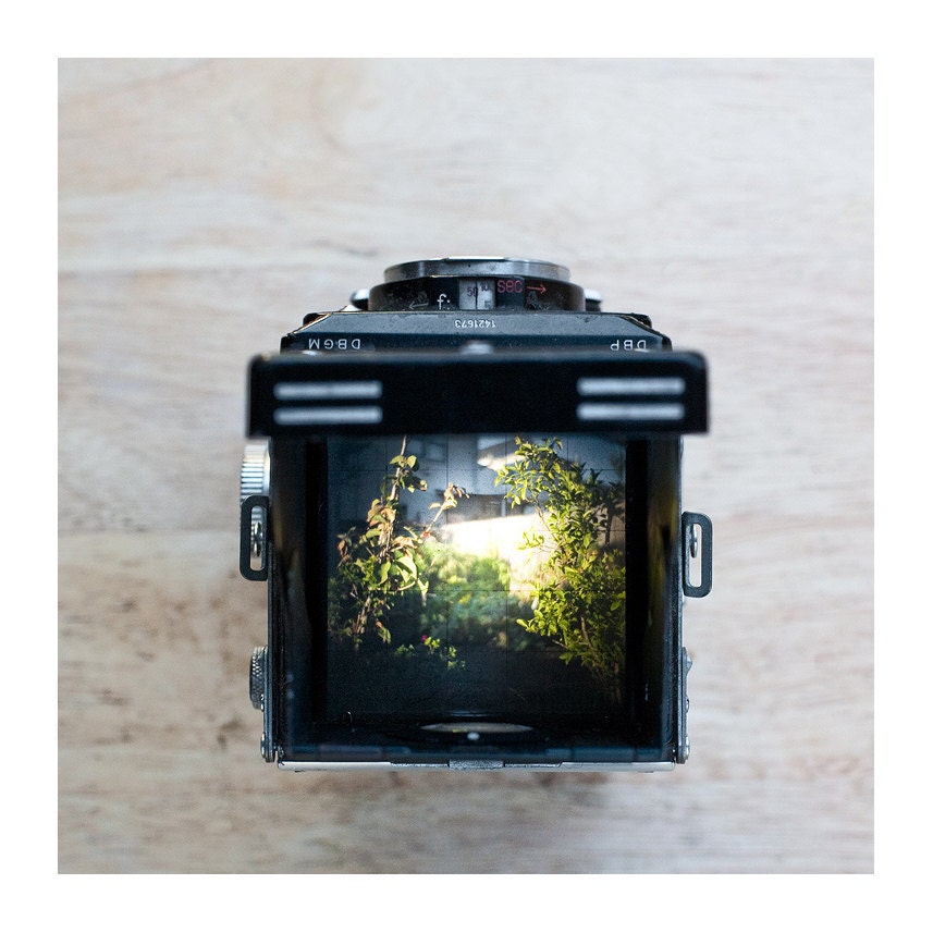 8x8" Photograph: Through the viewfinder of a Rolleiflex TLR Twin Lens Reflex Camera