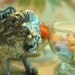 Lion Buffet Card Holder