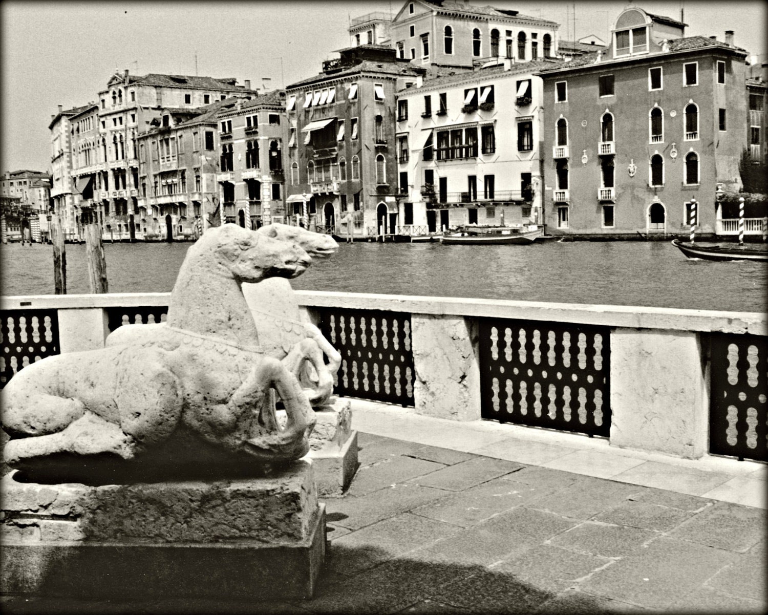 Italian Holiday - Venice -  Photography - 8 X 10 - Horses - Vintage Quality - Art - Home Decor - Black and White - Travel - Italy