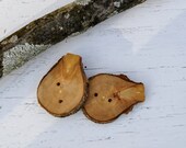 Oblong Hickory Tree Branch Buttons (Set of 2)