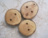 Rustic Tree Branch Buttons for Knitting, Crochet, or other Craft Projects (Set of 3)