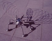 Big Bug (Version 1) is a giant steel insect sculpture by sculptor Bruce Gray